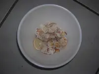 DSCN6007.webp