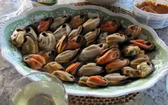 Muscheln bt v.webp