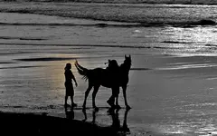 _abends am Meerv.webp