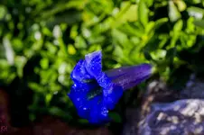 Stg 14-11-21-4296.webp