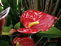 PB031907.webp