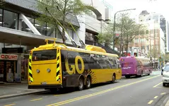 Wellington 058v.webp