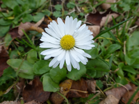P1240029.webp