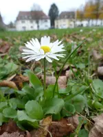 P1240030.webp