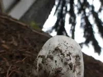 P1230930.webp