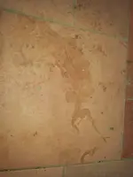 967893_10152458358387644_827953751_n.webp