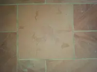 10825212_10152458363587644_1380379337_o.webp