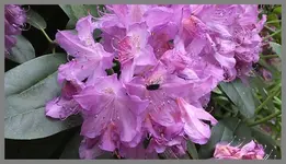 043.webp