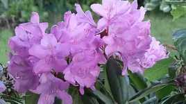 054.webp