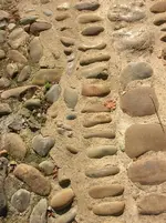 DSCN1869.webp