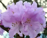 P1010517.webp