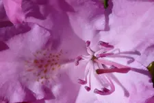 P1010616.webp