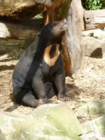 Mai2011 002.webp