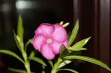 _DSC7482.webp