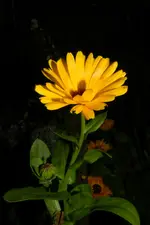 Bei Nacht_0002.webp