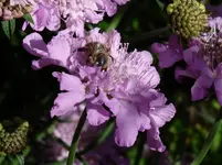 P1140508.webp