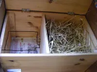 Igelkiste3.webp