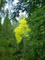 074.webp