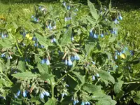 BILD2758.webp