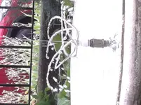 20140711_100454.webp