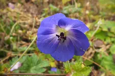 DSCF9304.webp