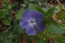 DSCF9300.webp
