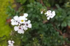 DSCF9299.webp