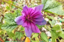 DSCF9297 (2).webp