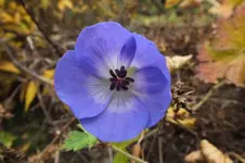 DSCF9295.webp
