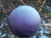 DSCN1367.webp