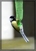comp_DSC07894.webp