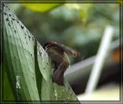 comp_DSC07916.webp