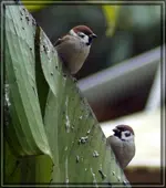 comp_DSC07923.webp