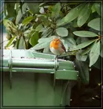 comp_DSC07926.webp