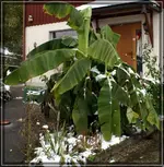 comp_DSC03411.webp
