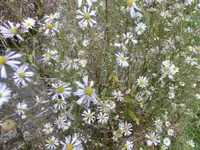 P1240138.webp