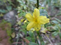 P1240117.webp