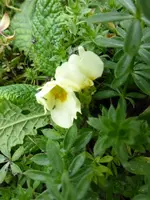 P1240166.webp