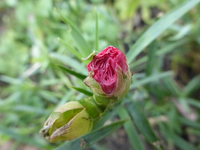 P1240121.webp