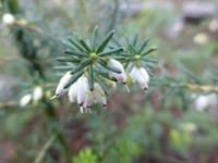 P1240149.webp