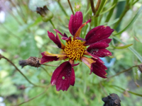P1240169.webp