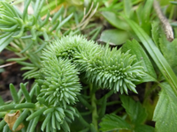 P1240116.webp