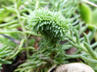 P1240115.webp