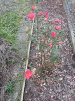 P1240161.webp