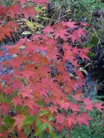 K800_P1030166.webp