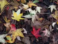 K800_DSCF5693.webp
