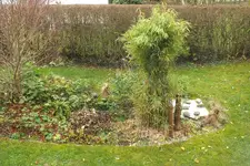 DSCF9313.webp