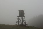 Hochstand Nebel.jpg