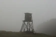 Hochstand Nebel.webp