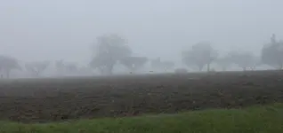 Nebel 3.11..webp